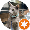 青空 profile picture